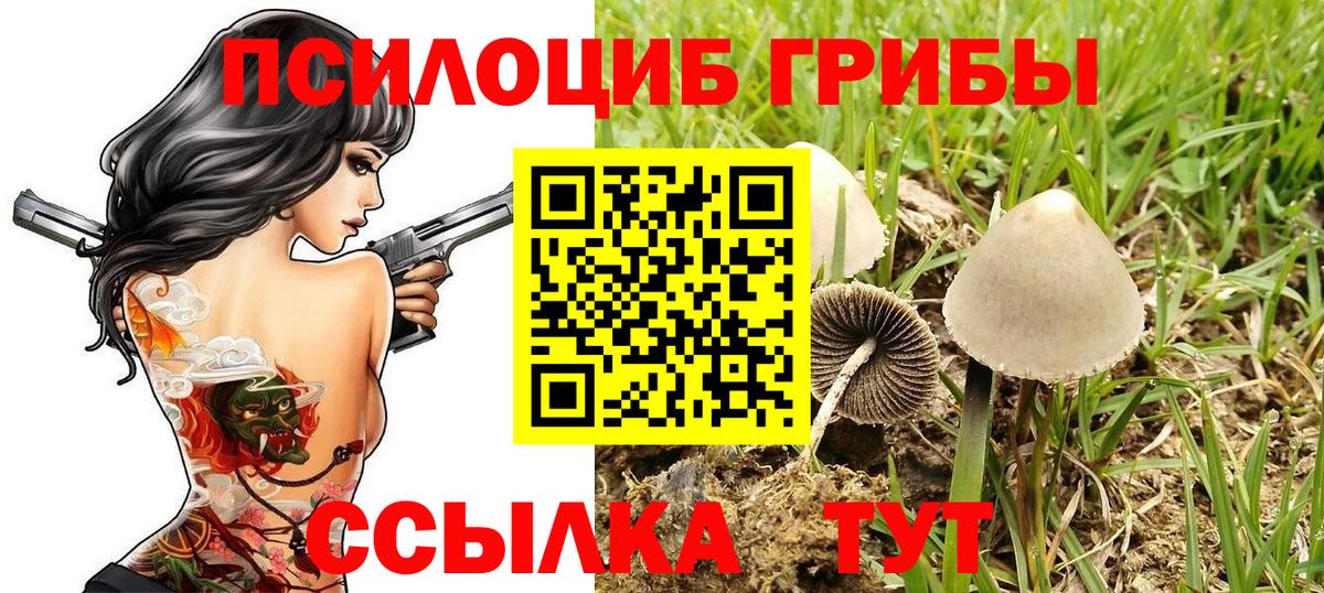 Ржев  как найти закладки  Вход с VPN  Псилоцибиновые грибы Magic Shrooms 
