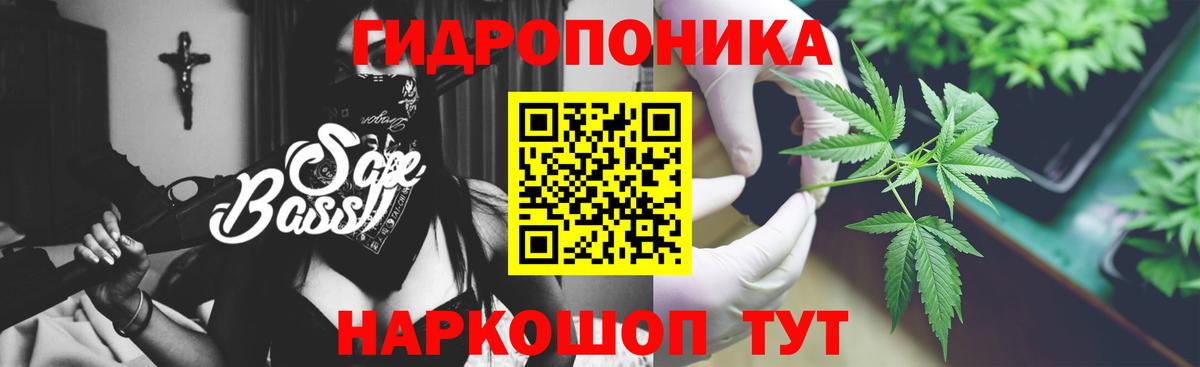 Ржев  Канабис планчик  Бошки марихуана Amnesia  Вход с VPN 